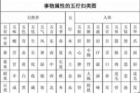 祐 五行|祐字的五行属性是什么